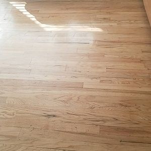 Meet your Posher, Donisha